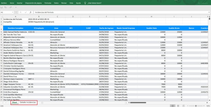 Excel Incidencias